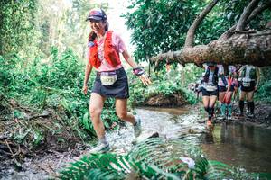 BIB: 
                            <button type="button" onclick="openModal(25477568)" class="btn btn-primary btn-sm float-right btn-popup" data-toggle="modal" data-target=".modal-high-quality">
                        <i class="fas fa-shopping-cart"></i> Add to Cart
                    </button>
                                            <button type="button" onclick="isThisMe(25477568, true)" class="btn btn-success btn-sm float-right btn-popup btn-isme hidden" data-toggle="tooltip" data-placement="bottom" title="นี่คือรูปของคุณใช่ไหม คลิกที่นี่เพื่อเอาเข้าอัลบั้ม">
                        <i class="fas fa-plus"></i> Add to album
                    </button>
                    <button type="button" onclick="isThisMe(25477568, false)" class="btn btn-warning btn-sm float-right btn-popup btn-isnotme hidden">
                        <i class="fas fa-ban"></i> Remove from album
                    </button>